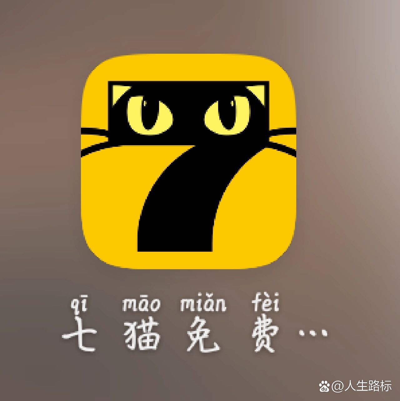 七猫最新，现代养猫新趋势与知识探索