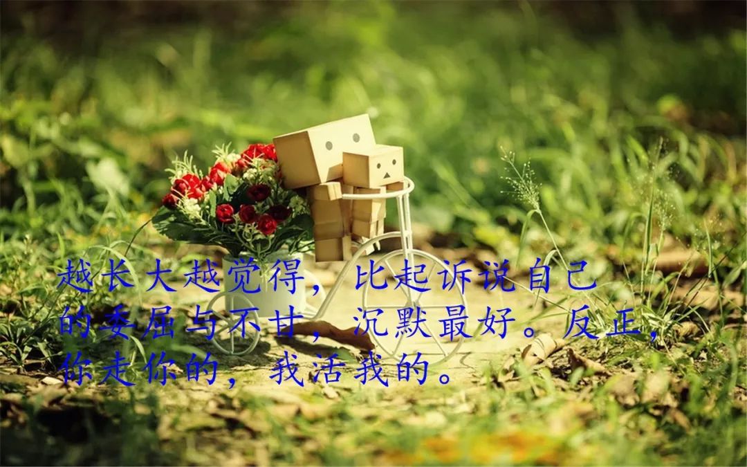 最新经典说说，网络言论多元解读与个人立场探析