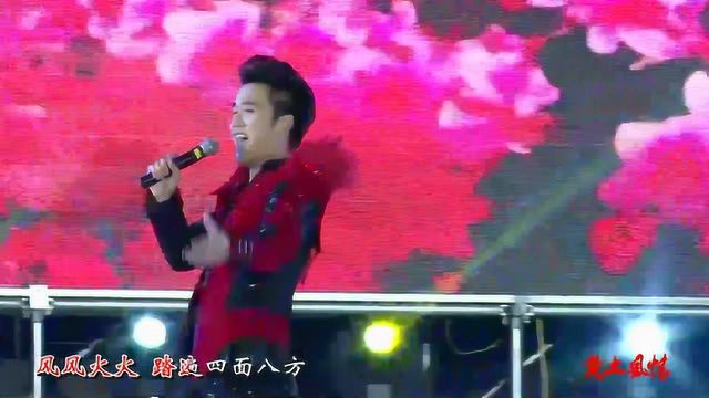 柳强强最新歌曲，获取与欣赏的详细步骤指南