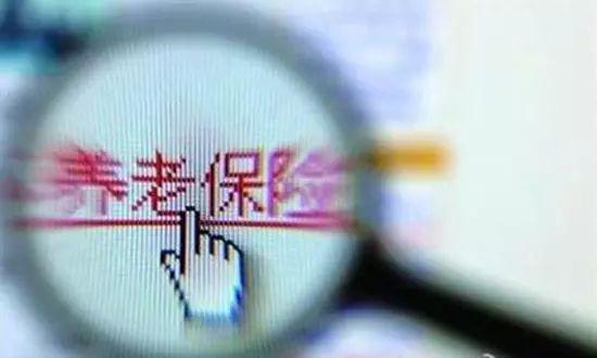 最新养老保险政策解读，心灵与自然的双重探索之旅