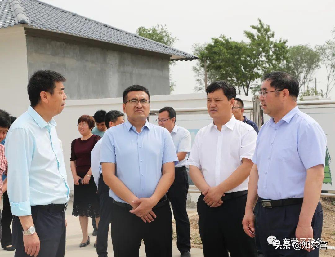 东营宝力生物上市流程及时间指南，最新动态与步骤解析
