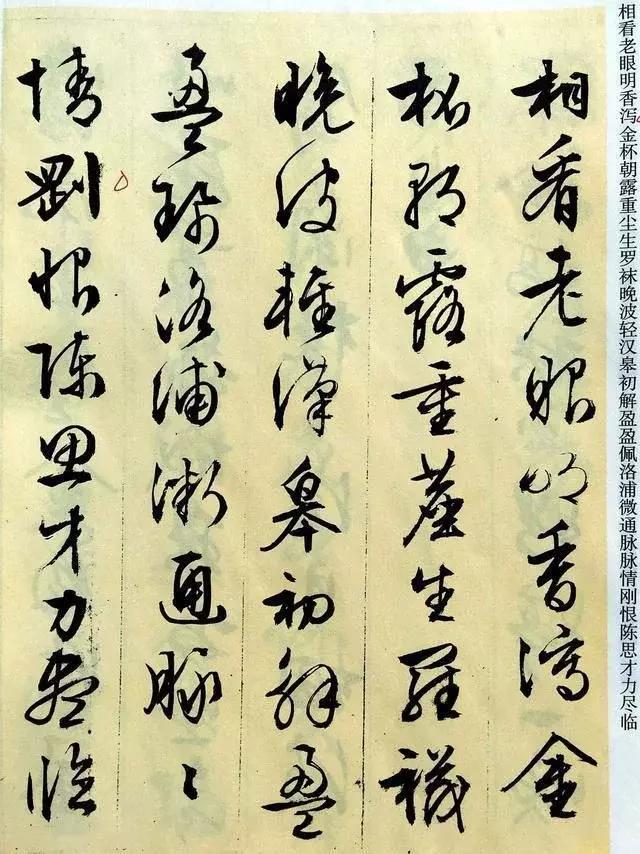 与自然美景的邂逅，寻找内心的平和宁静之道