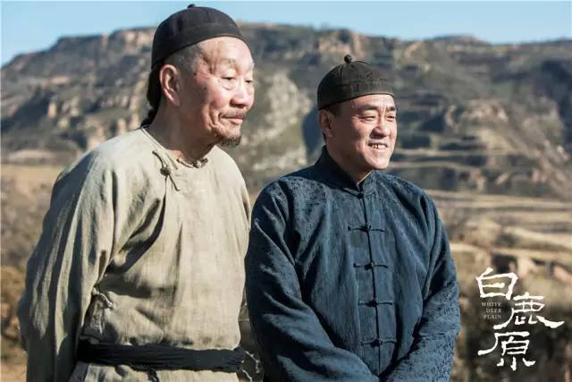 电视剧白鹿原全集播放，励志之旅启程，自信与成就感的蜕变之路