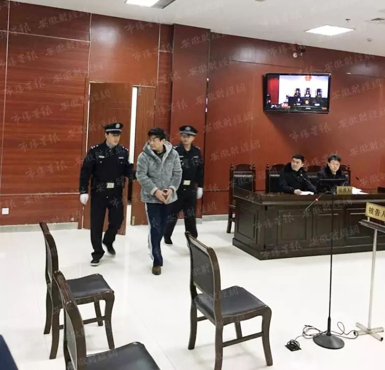 合肥宋美华最新动态，聚焦发展，展现新篇章成就