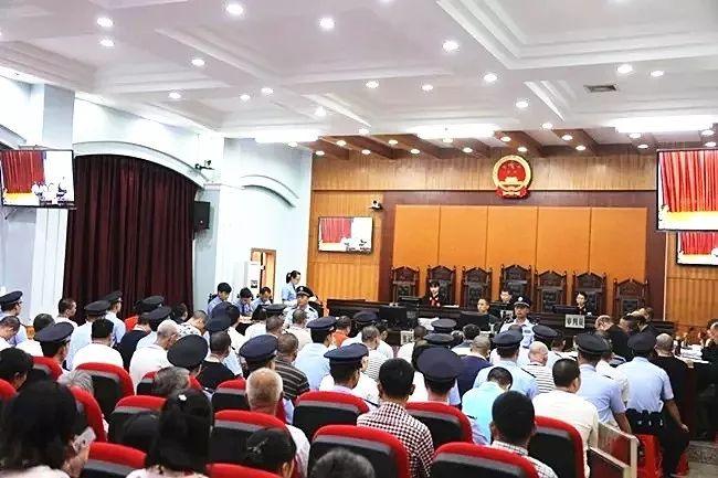广西打架斗殴事件回顾，最新事件概览